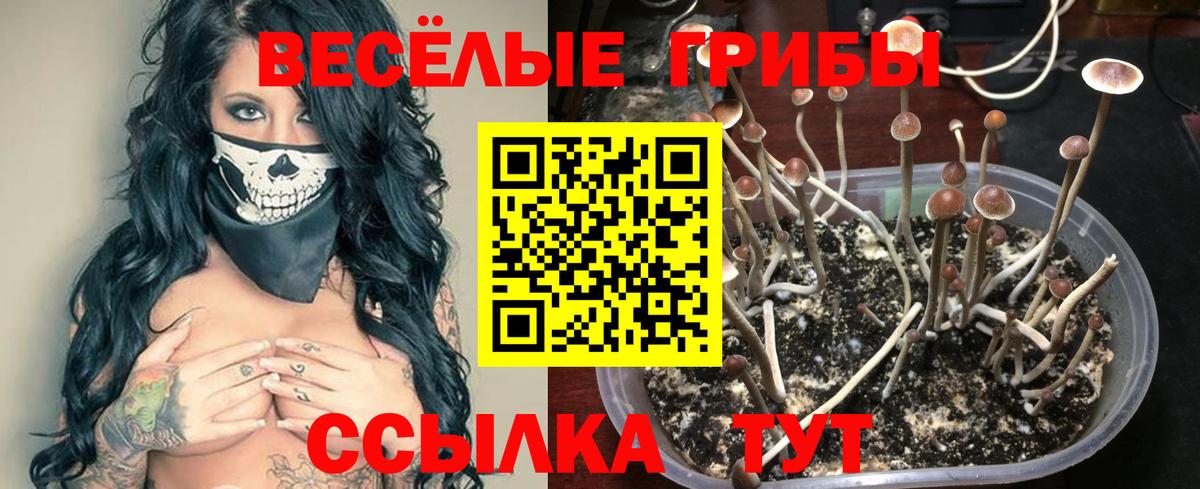 Сибай  Псилоцибиновые грибы мицелий  закладка  Вход с VPN  Псилоцибиновые грибы Magic Shrooms 